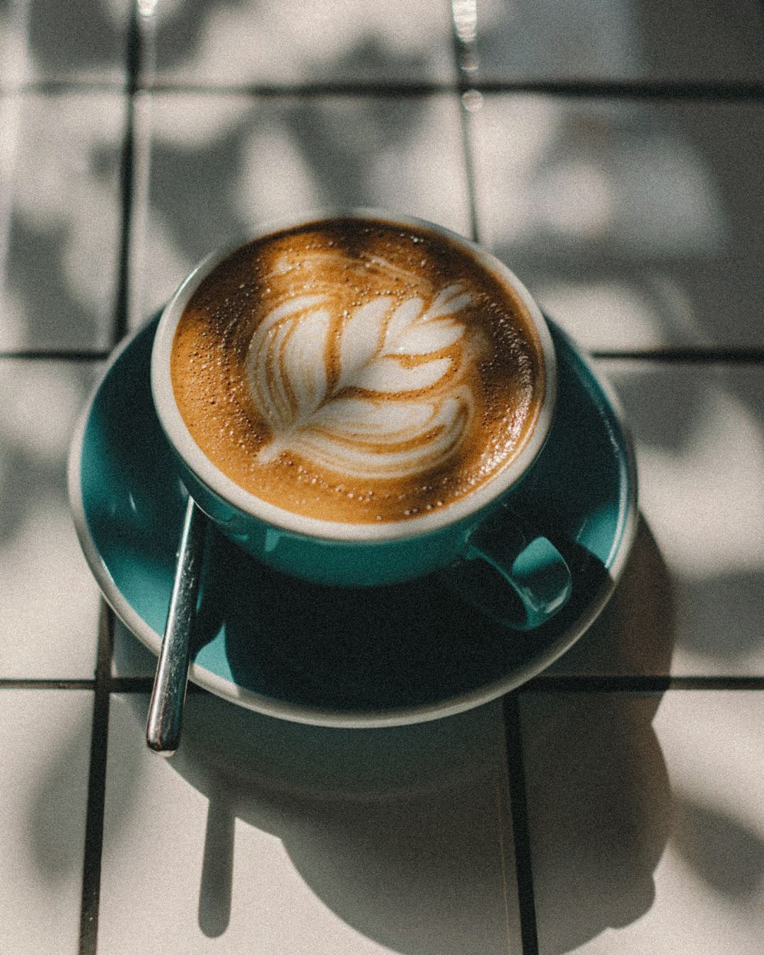 A Soft Start: Morning Rituals for Nervous System Wellness - Alchemist + Co.