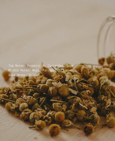 Apothecary Room + Linen Mist - Alchemist + Co