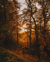 Autumn Equinox Wellness Candle - Alchemist + Co