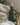 Divine Feminine Room + Linen Mist - Alchemist + Co