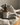 Full Bloom Room + Linen Mist - Alchemist + Co