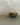 Palo Santo – Sacred Smoke Sticks - Alchemist + Co