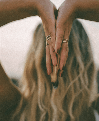 Palo Santo – Sacred Smoke Sticks - Alchemist + Co