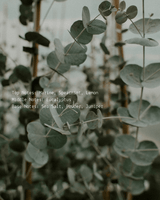 Release - Alchemist + Co