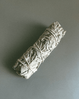 White Sage Smudge Stick - Alchemist + Co