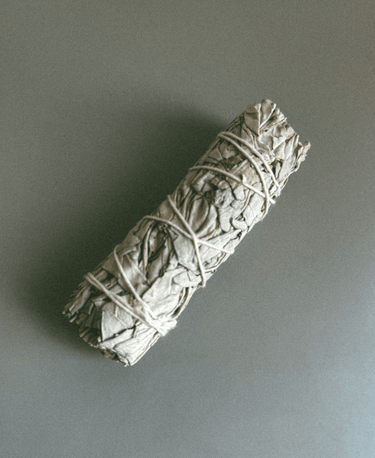White Sage Smudge Stick - Alchemist + Co