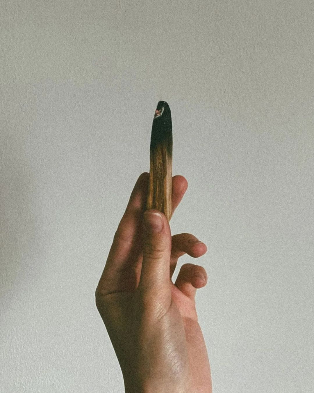 Palo Santo: A Complete Guide to Elevating Your Everyday Practice