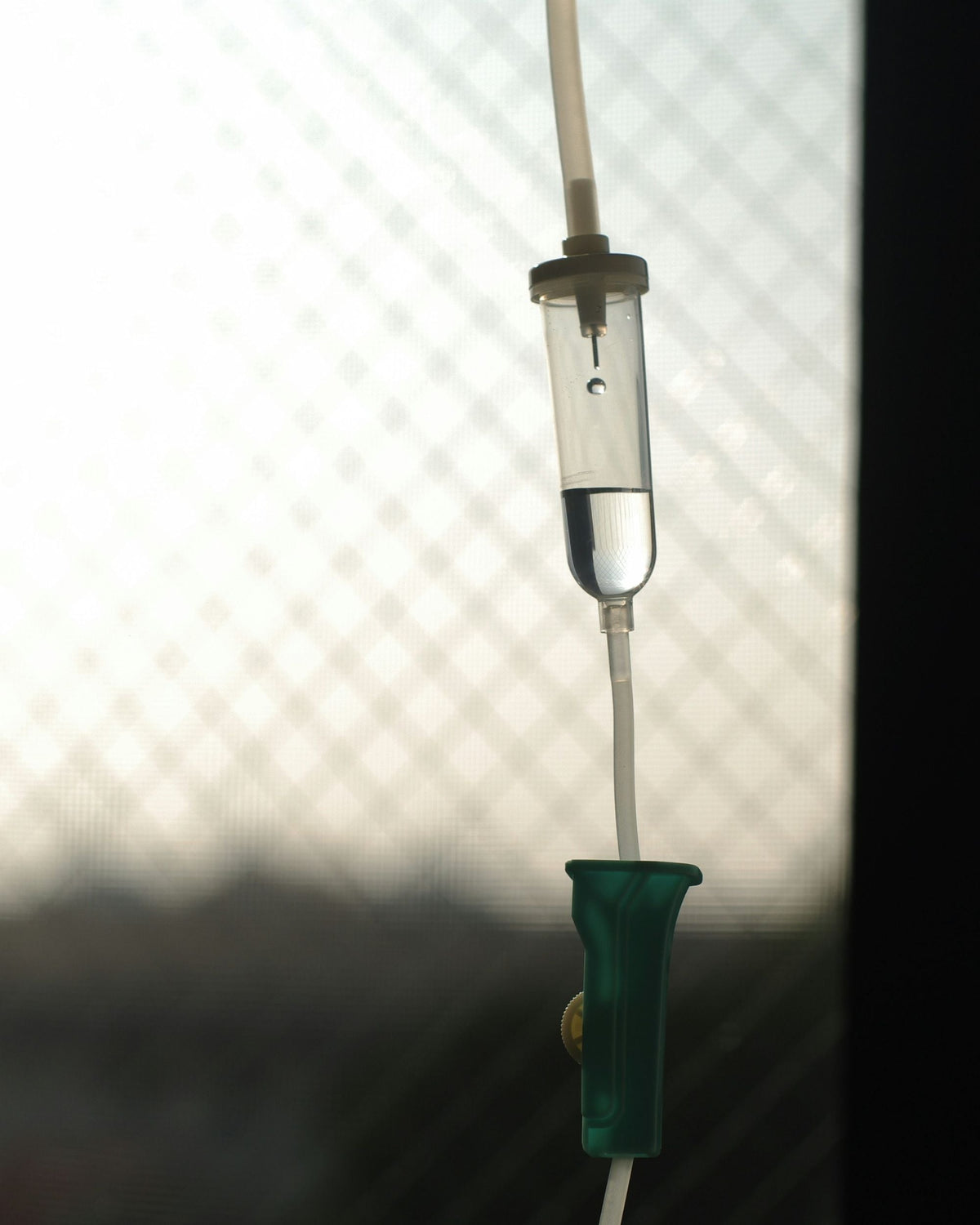 A glass cup being filled with water on a neutral table with  greenery in the background.