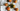 Citrus + Bright - Alchemist + Co