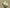 White florals on neutral background.