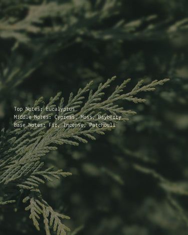 Abundance - Alchemist + Co