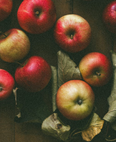 Ambered Cider Wellness Candle - Alchemist + Co