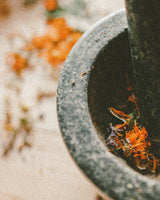Apothecary Wellness Candle - Alchemist + Co