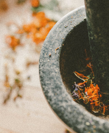 Apothecary Wellness Candle - Alchemist + Co