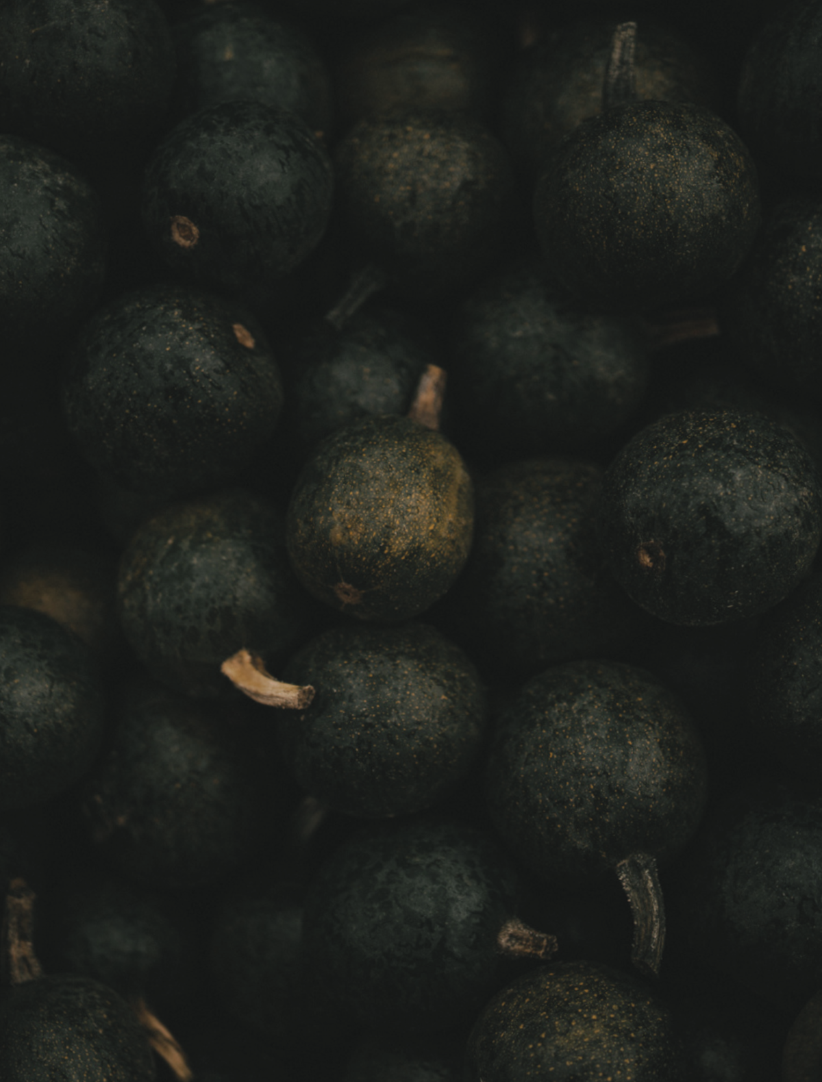 Dark, dusky black currants filling the frame, the hero note of the Attention candle