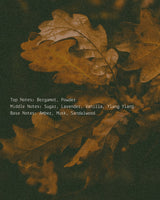 Autumn Equinox - Alchemist + Co