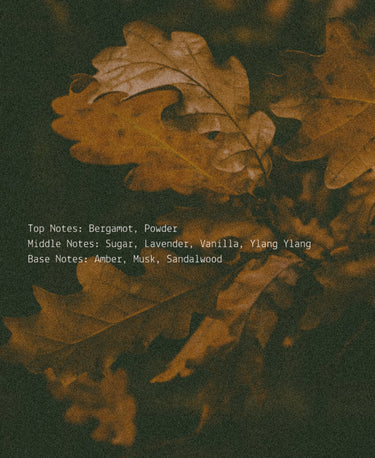 Autumn Equinox - Alchemist + Co