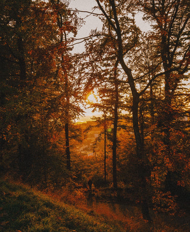 Autumn Equinox Wellness Candle - Alchemist + Co