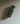 Calm Oil - Alchemist + Co