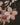 Full Bloom Room + Linen Mist - Alchemist + Co