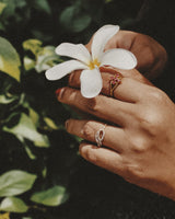 Full Bloom Wellness Candle - Alchemist + Co