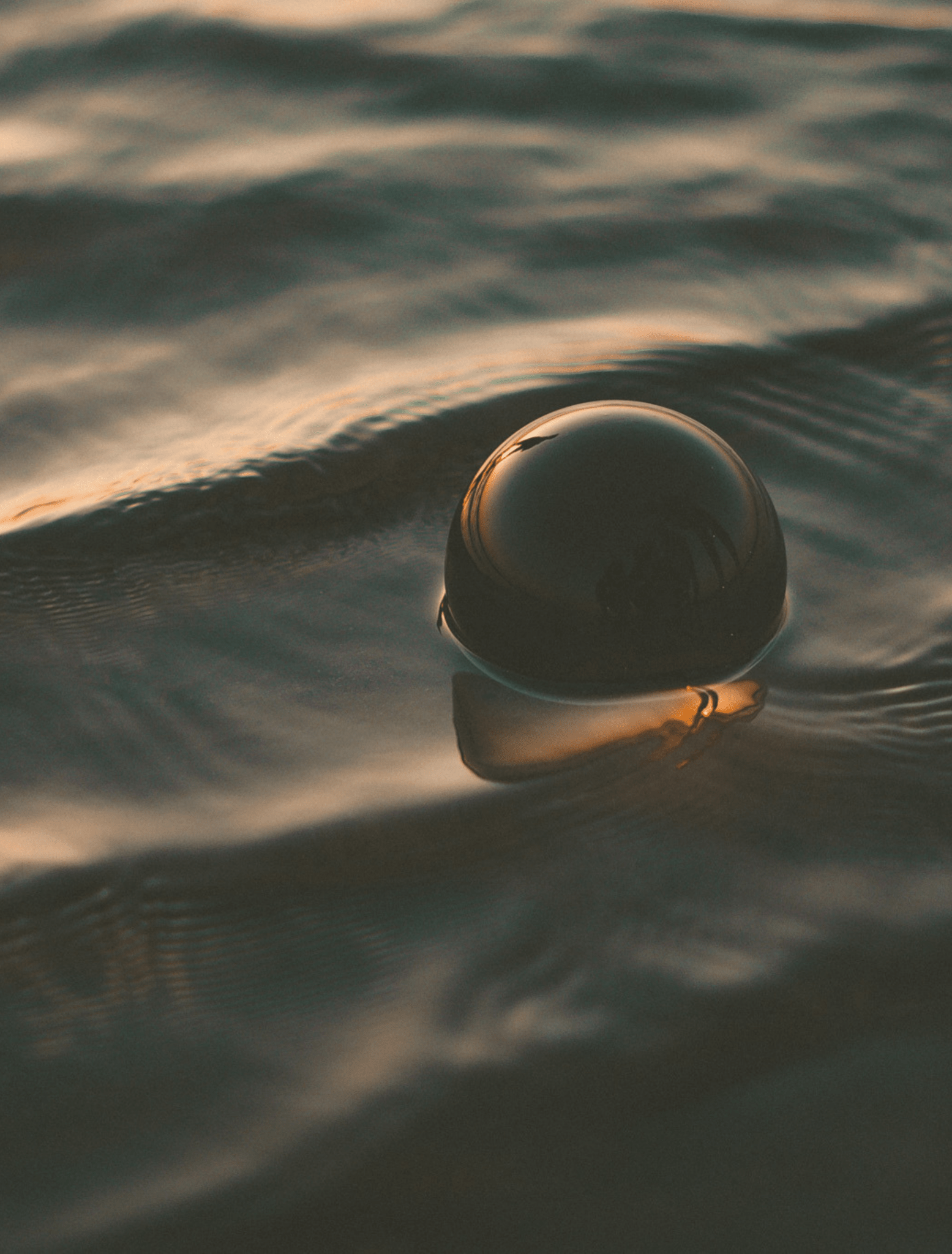 Gravity