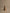 Close up of a Palo Santo incense cone on a neutral background.