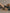 Wooden tool, bowl with ground substance, and pile of ground material on a neutral background