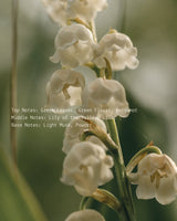 Lily of the Valley - Alchemist + Co