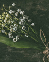 Lily of the Valley Wellness Candle - Alchemist + Co