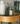 New Moon Room + Linen Mist - Alchemist + Co
