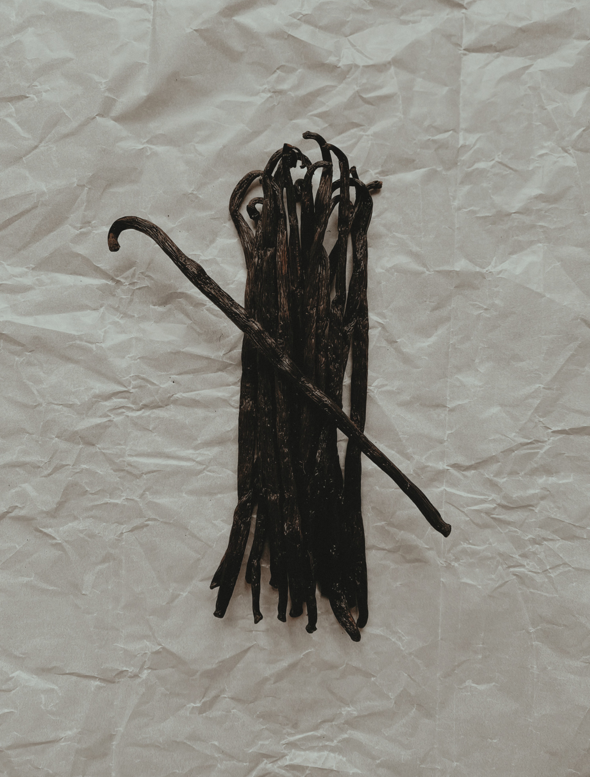 A bundle of dark vanilla beans on crumpled paper, the hero note of the Origin candle