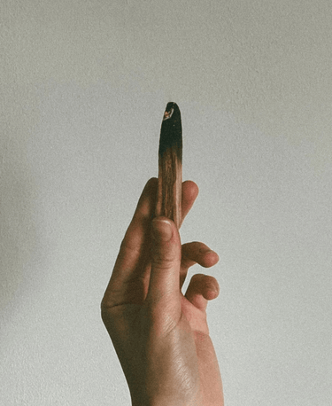Palo Santo Wellness Candle - Alchemist + Co