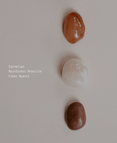 Pumpkin Chai - Alchemist + Co