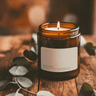 Release - Alchemist + Co
