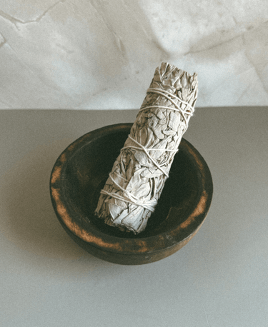 White Sage Smudge Stick - Alchemist + Co