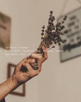Yogi - Alchemist + Co