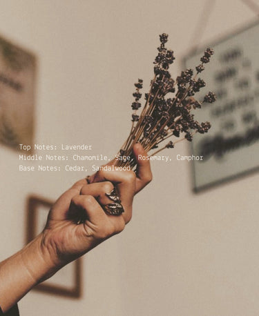 Yogi - Alchemist + Co